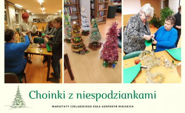 Choinki z niespodziankami już gotowe!